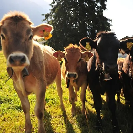 Hotel Lenzerhorn - Alpine Stay, & Savour 4*