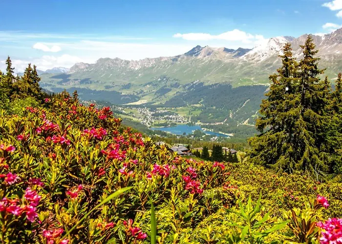 Lenzerhorn - Alpine Stay, & Savour