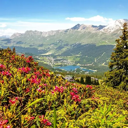 Lenzerhorn - Alpine Stay, & Savour